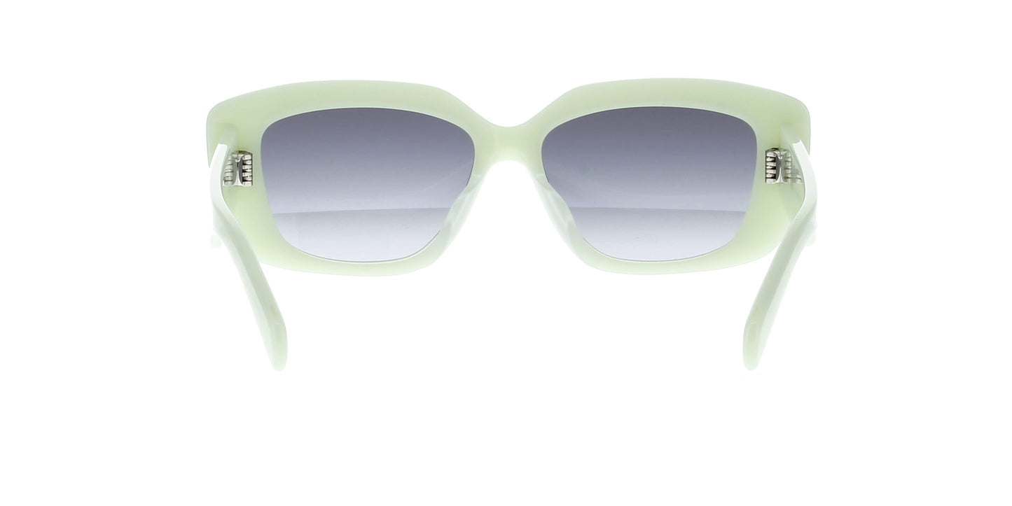 CELINE Triomphe CL40216U Square