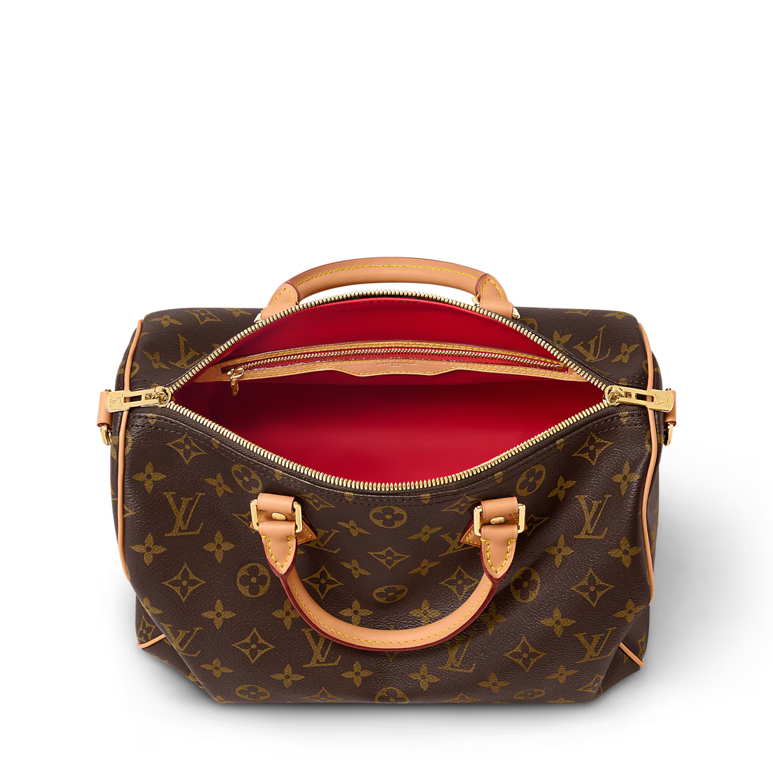 LV Speedy Soft 30 Crafty Bag
