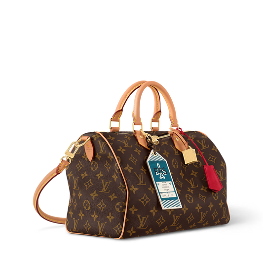 LV Speedy Soft 30 Crafty Bag